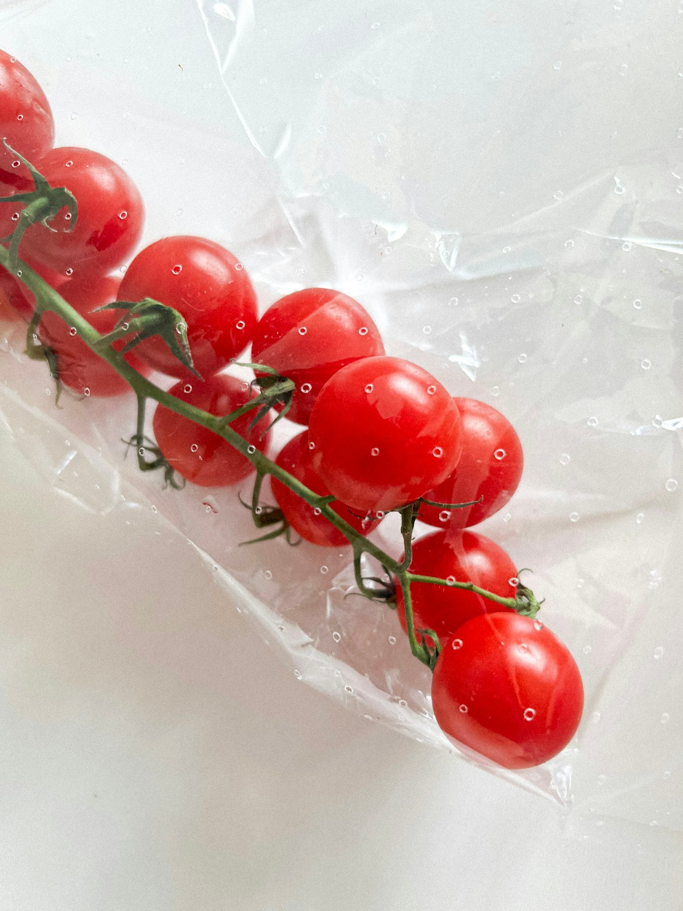 Tomates cerises conditionnées sous vide